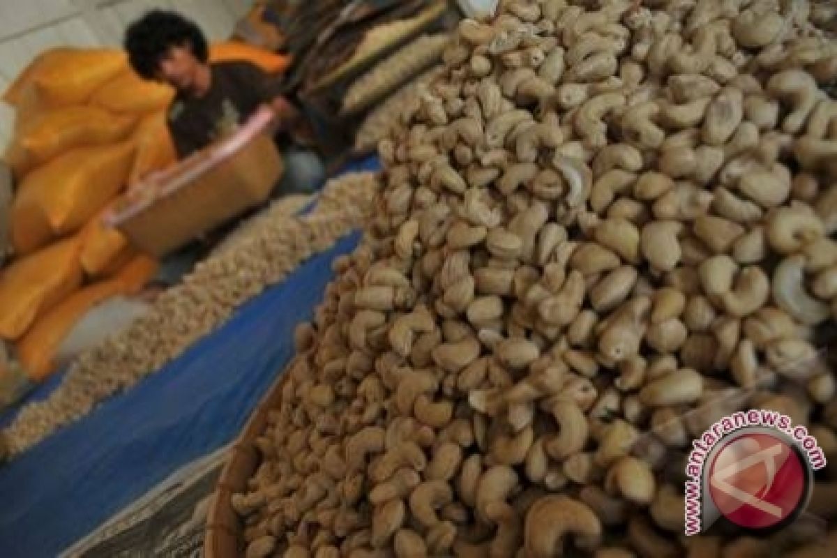 Di Kendari, harga kacang mete bervariasi