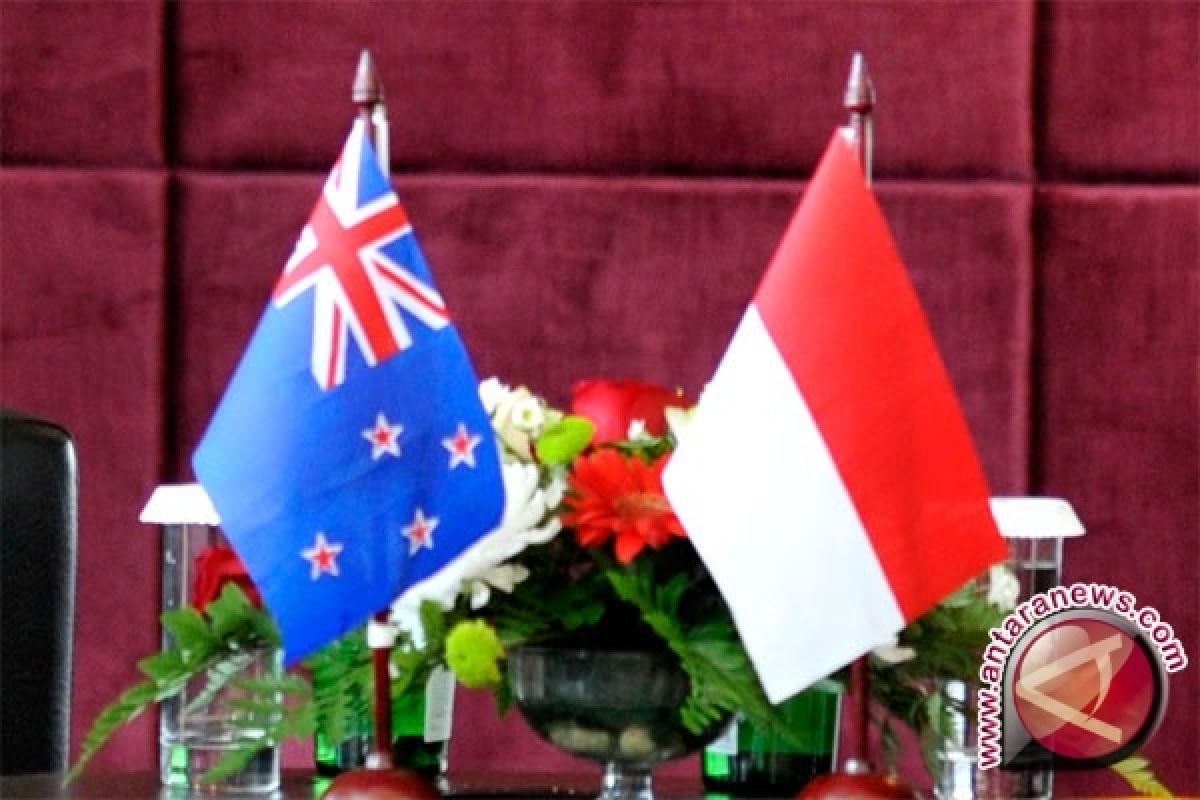 Indonesia - Selandia Baru kerja sama riset panas bumi