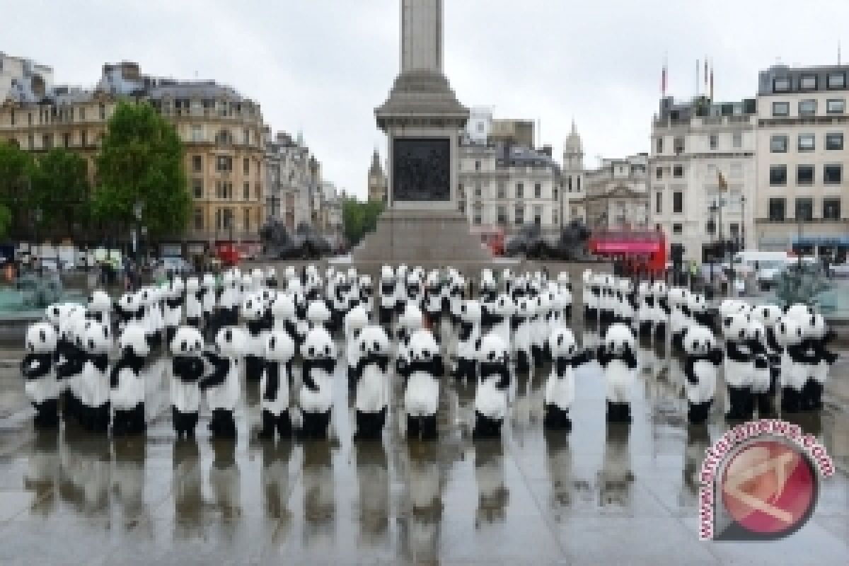 Panda-Monium Menggebrak London Dengan Peluncuran Chengdu Panda Awareness Week