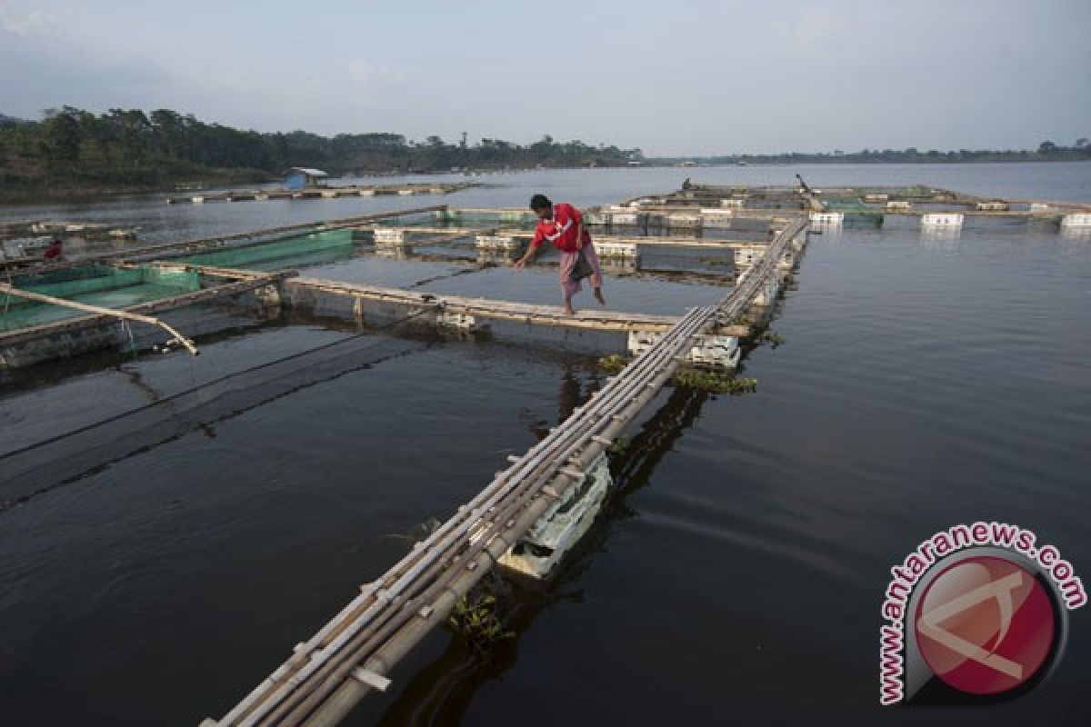 BPPT terapkan konsep pengelolaan pesisir Sato Umi