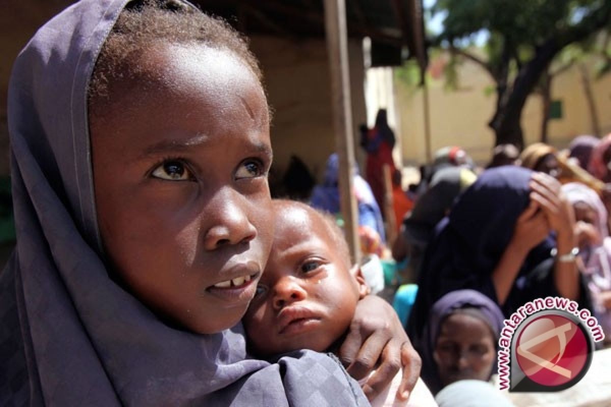 Berisiko tewas-kelaparan, 91 persen penduduk Tigray, Ethiopia