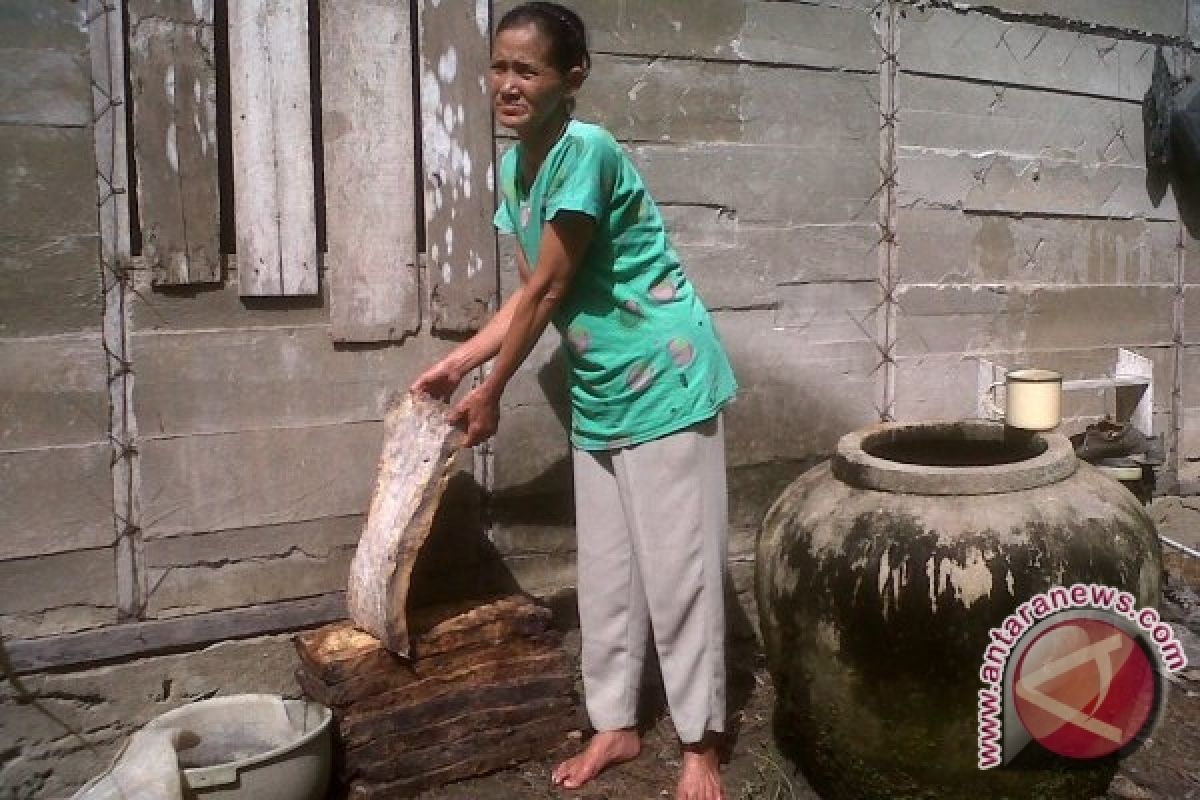 Petani Sambas Keluhkan Anjloknya Harga Karet