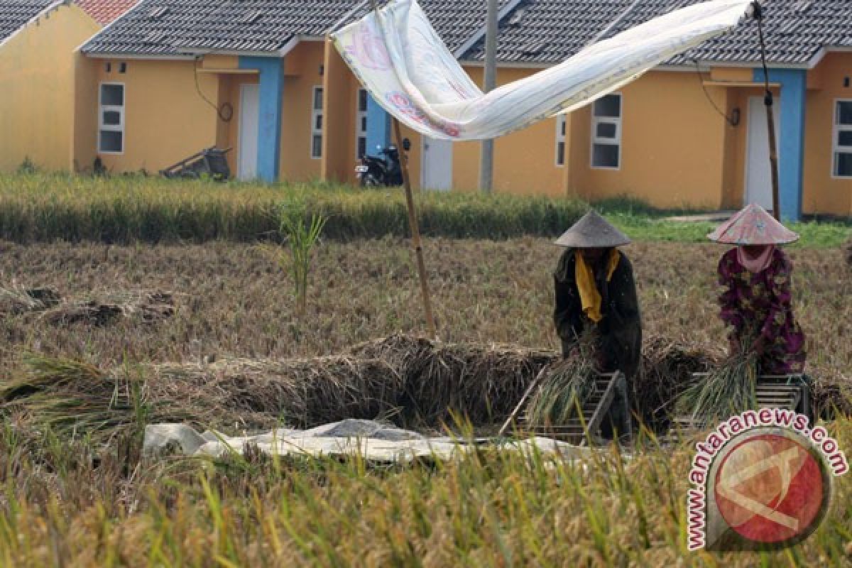 Pemberian insentif petani Malang terhambat payung hukum