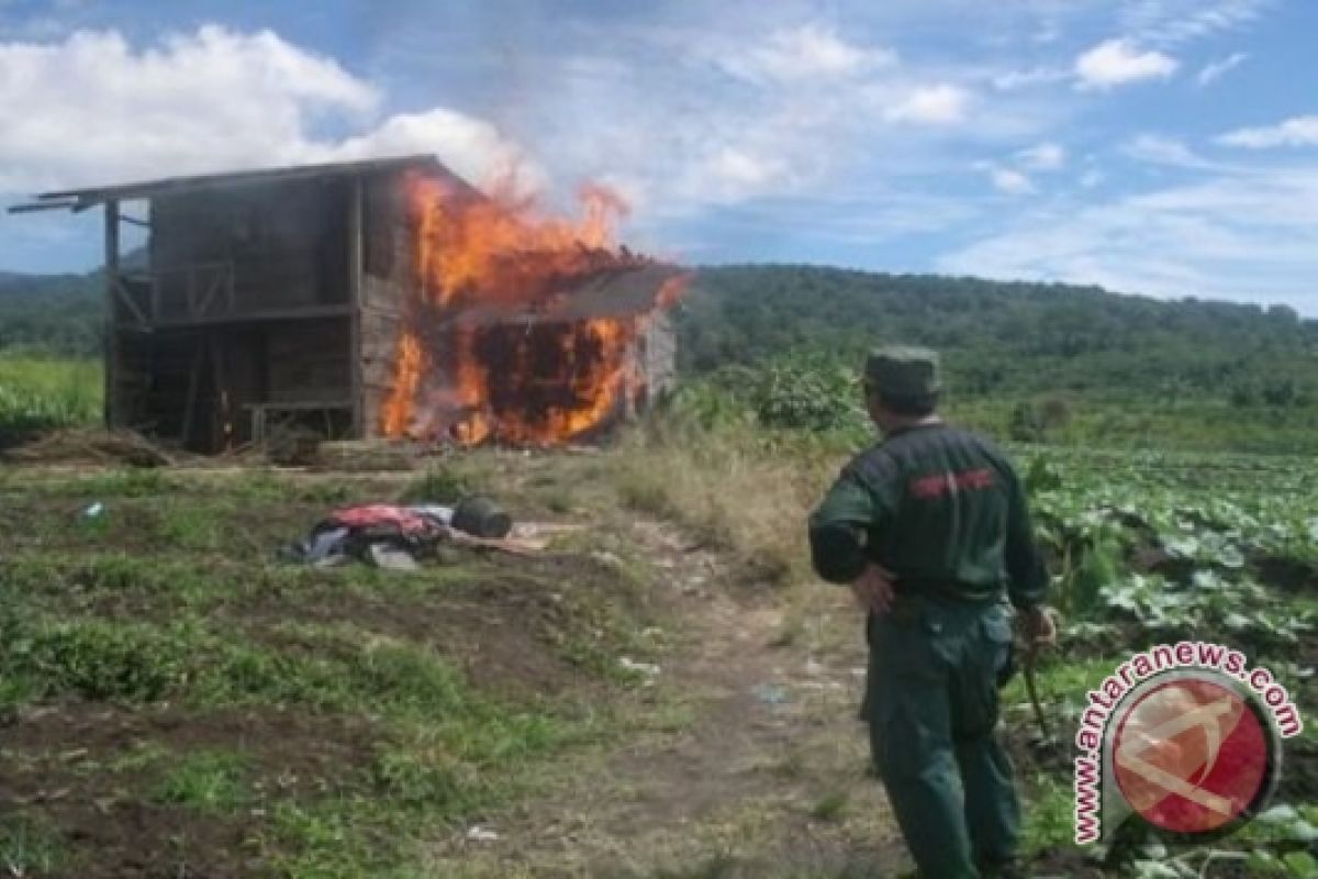 AMAN Bengkulu kecam pembakaran Dusun Banding Agung
