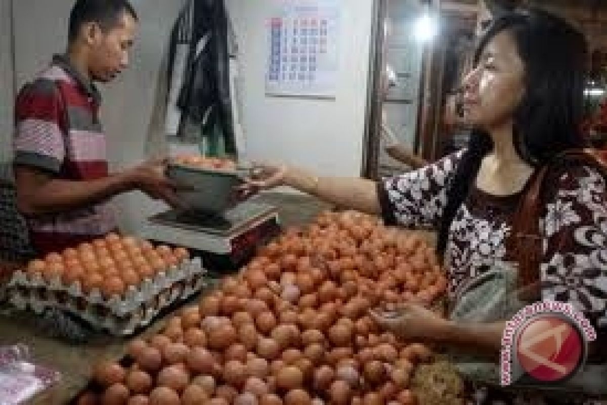 Produksi telur ayam di Sleman mencukupi