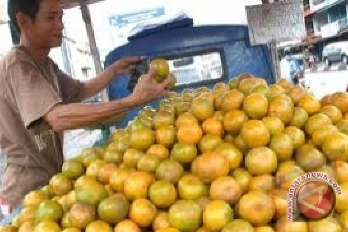 "Revolusi Orange" IPB dukung konsumsi buah lokal