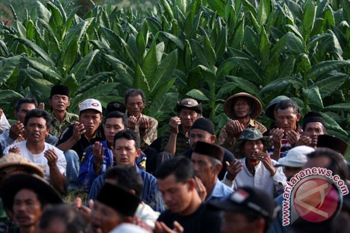 Petani Temanggung gelar "ruwat rigen"