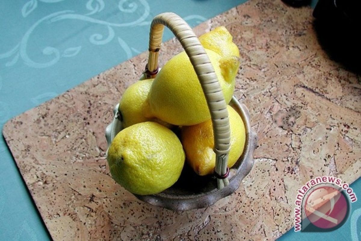 Lemon Bantu Redakan Gejala Maag