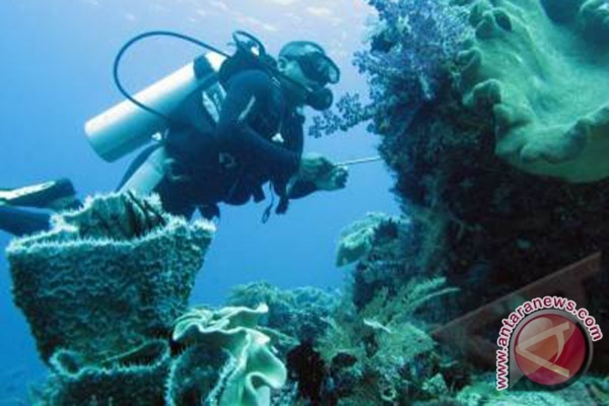 Terumbu karang makin berisiko sakit plastik di laut