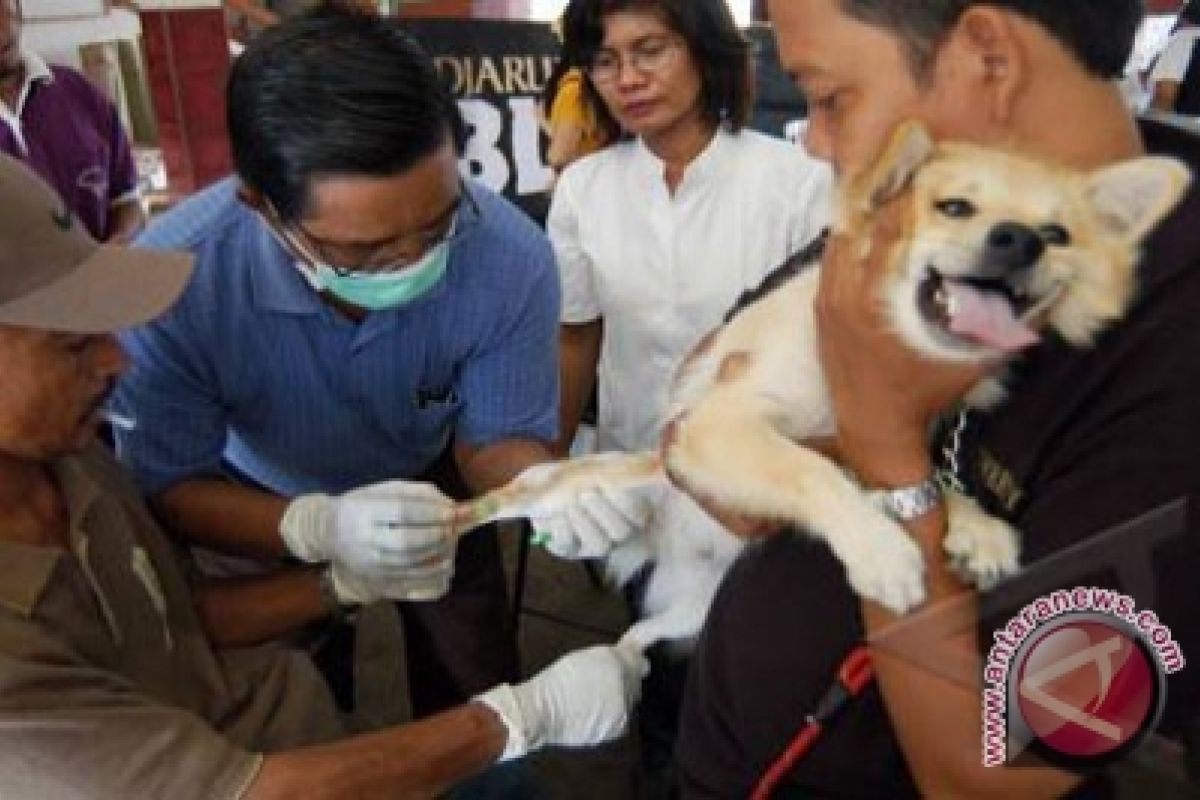 Bali dapat jatah 130 ribu vaksin rabies