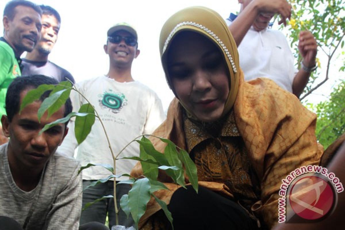 Ruang terbuka hijau di Aceh diupayakan penuhi 20 persen