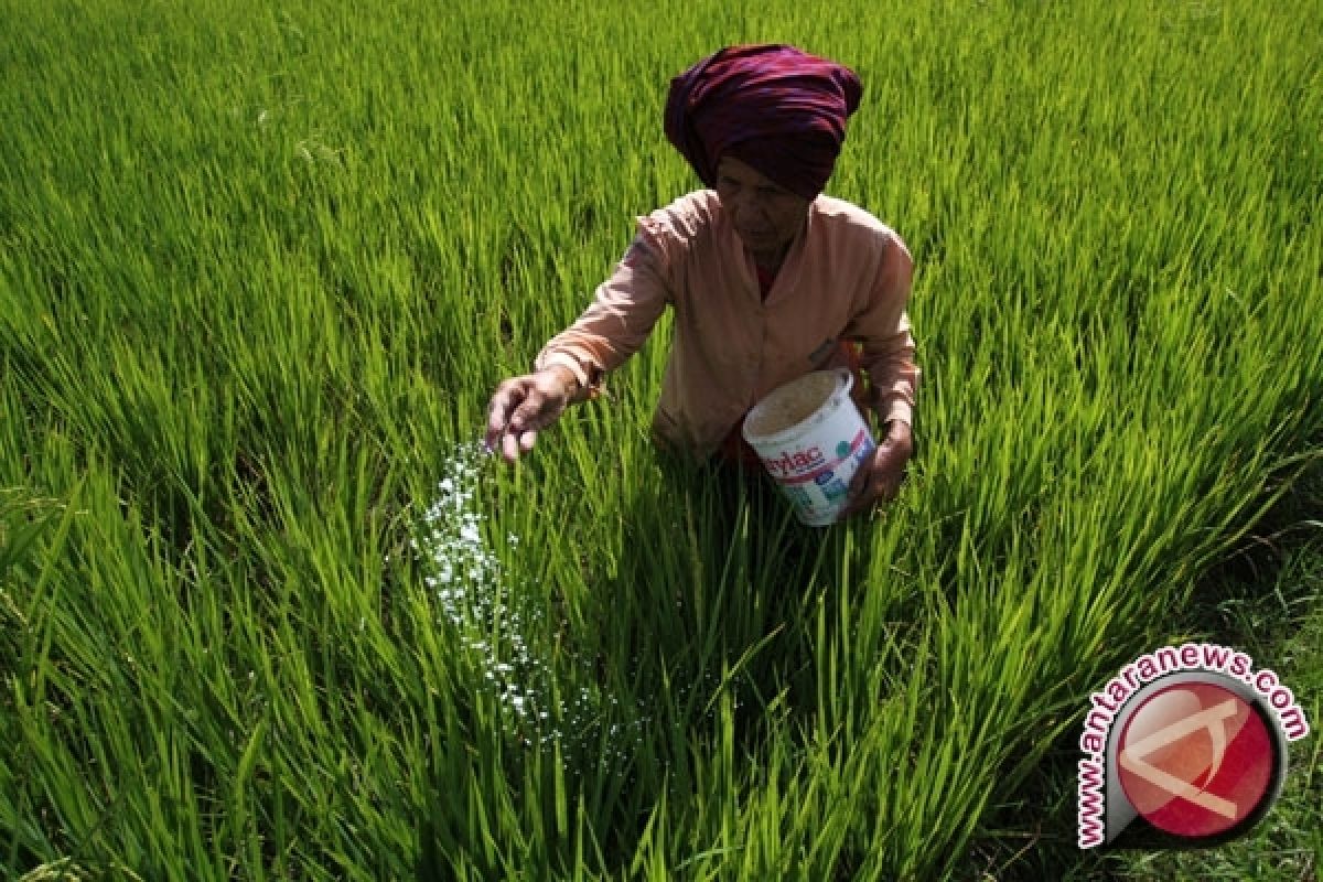 60 Persen Penduduk Kalbar Tergantung Sektor Pertanian