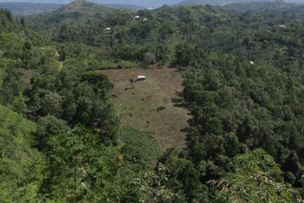 Masyarakat Agam Kelola 1.000 Hektare Lahan Tidur