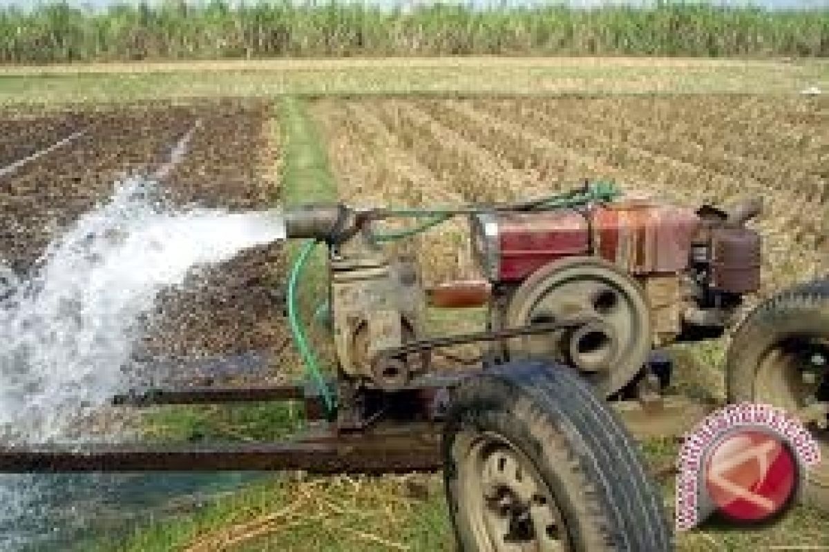 Pemkab Bantul fokus atasi kekeringan lahan pertanian