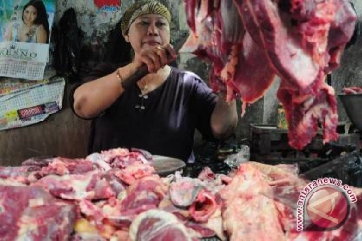 2019 Tapin Targetkan Swasembada Daging