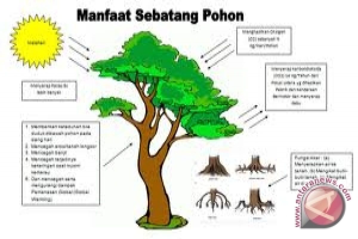 Menhut: Masyarakat Kian Sadar Manfaat Pohon