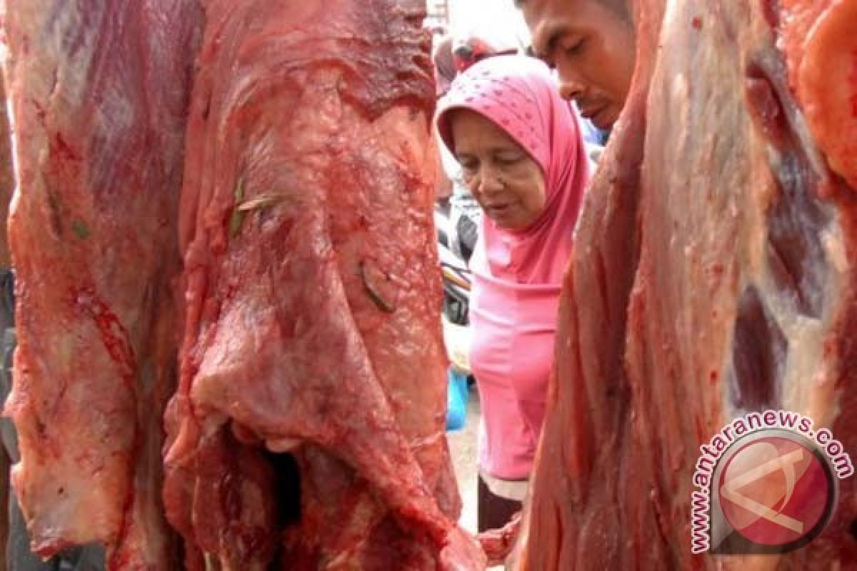 Aceh Besar siapkan 2.500 ekor sapi saat "meugang"