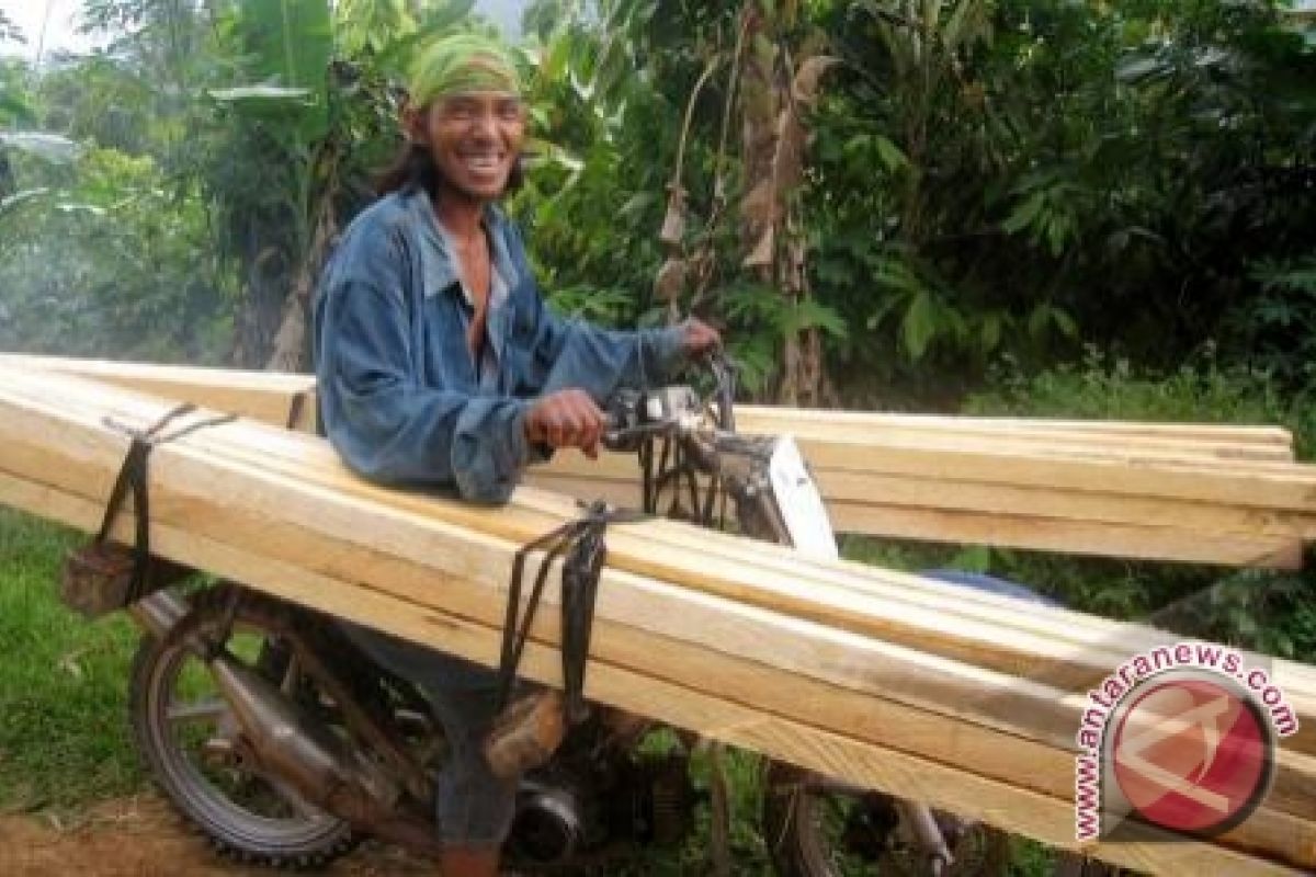 Penebangan Hutan Lindung Berlangsung 