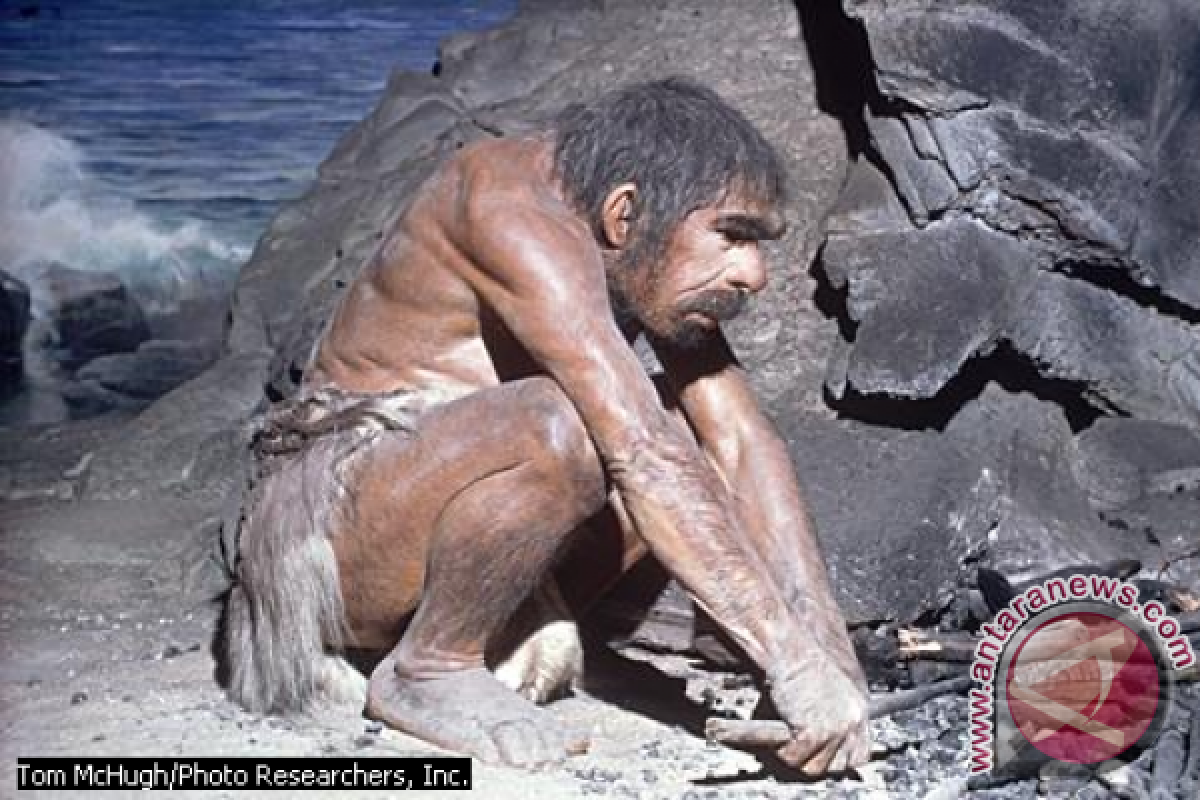 Telah ditemukan jejak kaki berusia 800 ribu tahun