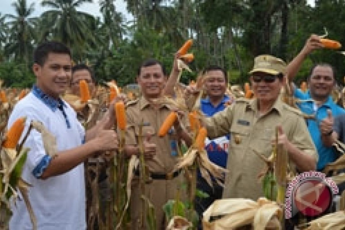 Gerakan PNS "bakobong" dukung ketahanan pangan Manado 