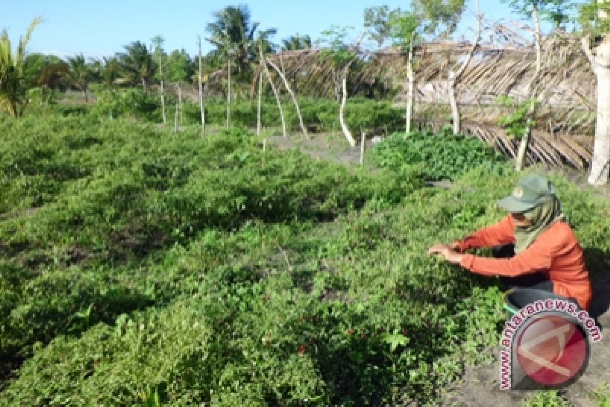 Pemkab buat cetak biru pengembangan kawasan selatan 