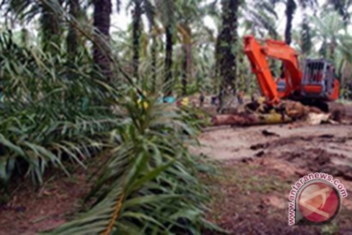 DPRD Kalsel kembali konsultasikan kebun rakyat dengan Kementan