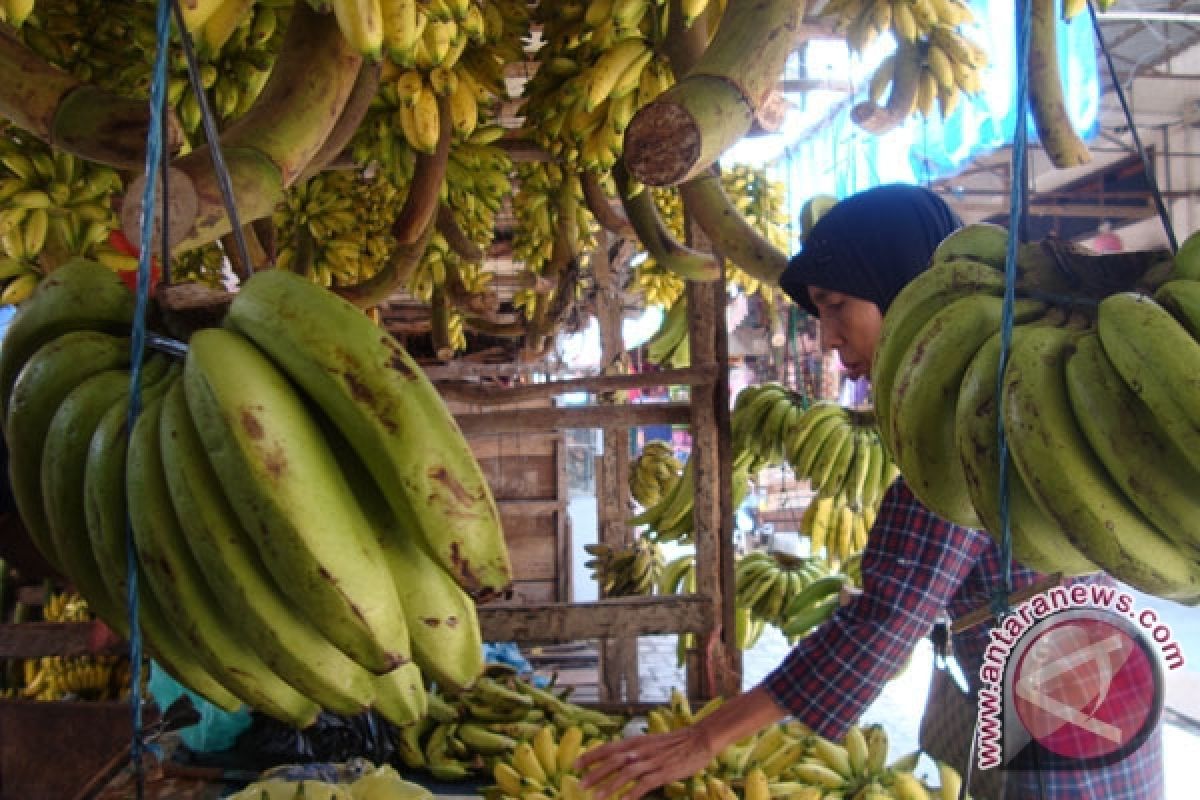 Hati-hati memilih pisang