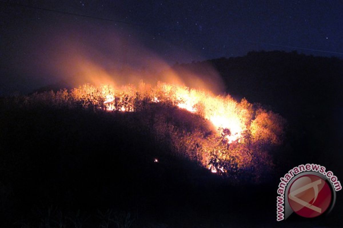 Canada University develops application to prevent forest fires