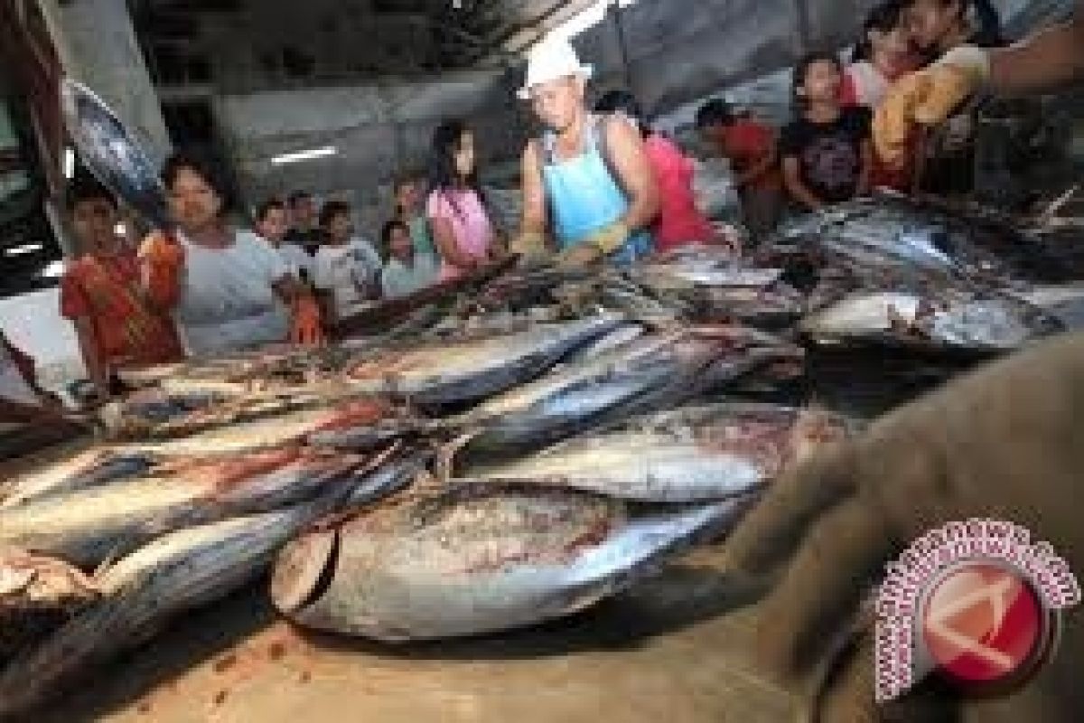 Hasil  tangkapan ikan nelayan Gunung Kidul melimpah 