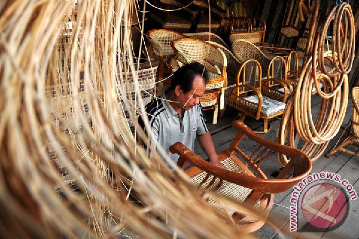 APRI urges government to lift rattan export ban