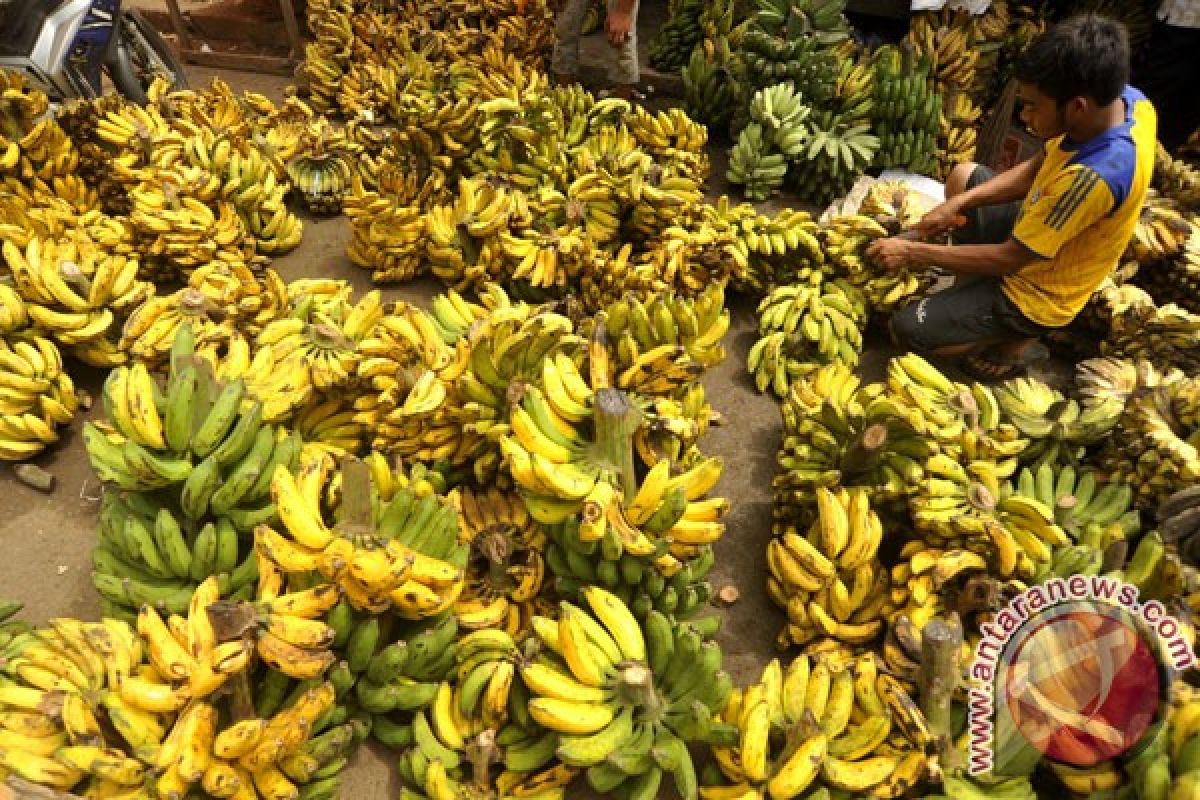 Rajin makan pisang, kurangi keripik cegah stroke