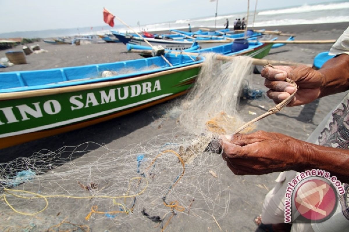 Kepiting Pengkok resahkan nelayan Gunung Kidul