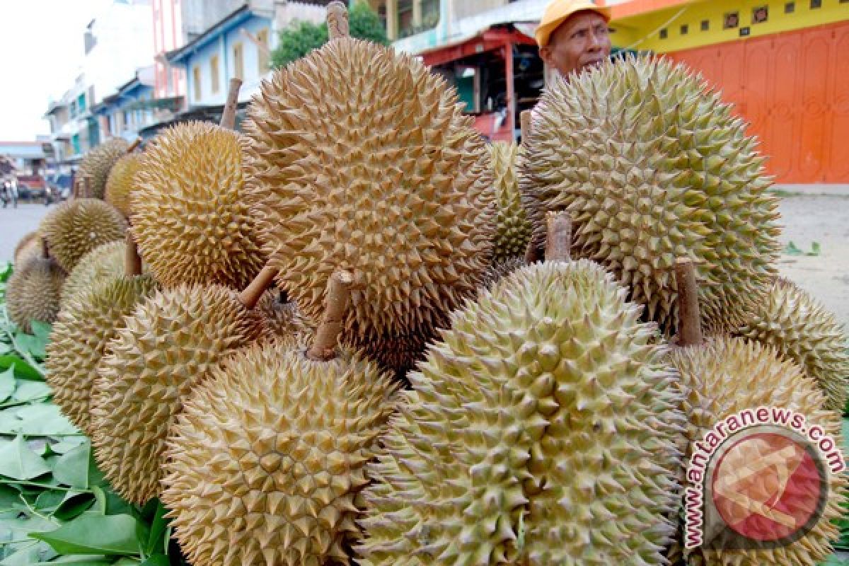 Petugas kebersihan Singkawang kewalahan angkut sampah durian