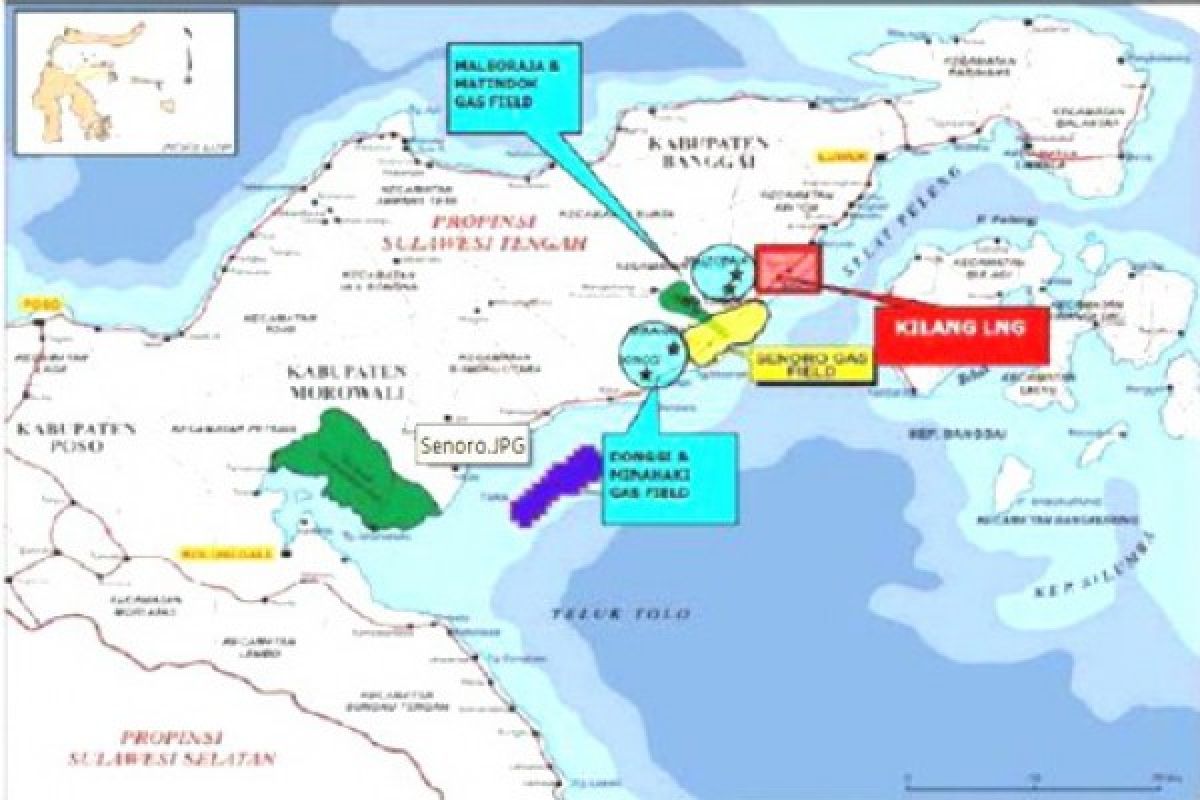 Oil production from Tiaka block shrinking