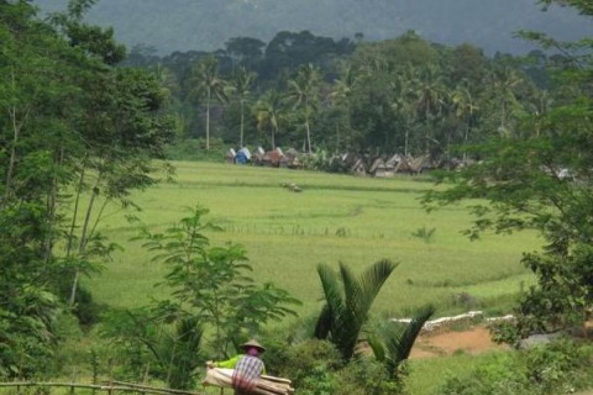 Bambu untuk  Hidup yang Berkelanjutan