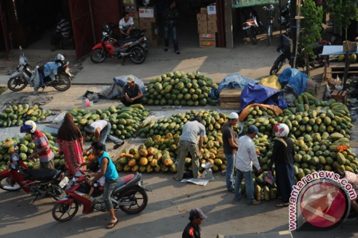 Pedagang pepaya 