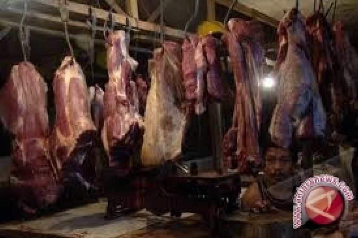 Lebaran 2016 - Harga Daging Di Palu Masih Bertahan 