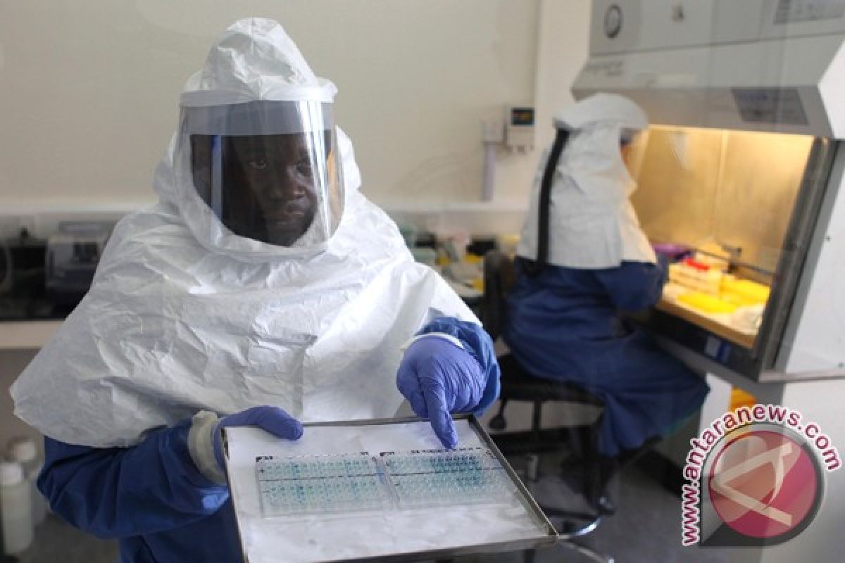 Virus Ebola tewaskan 74 orang di Guinea