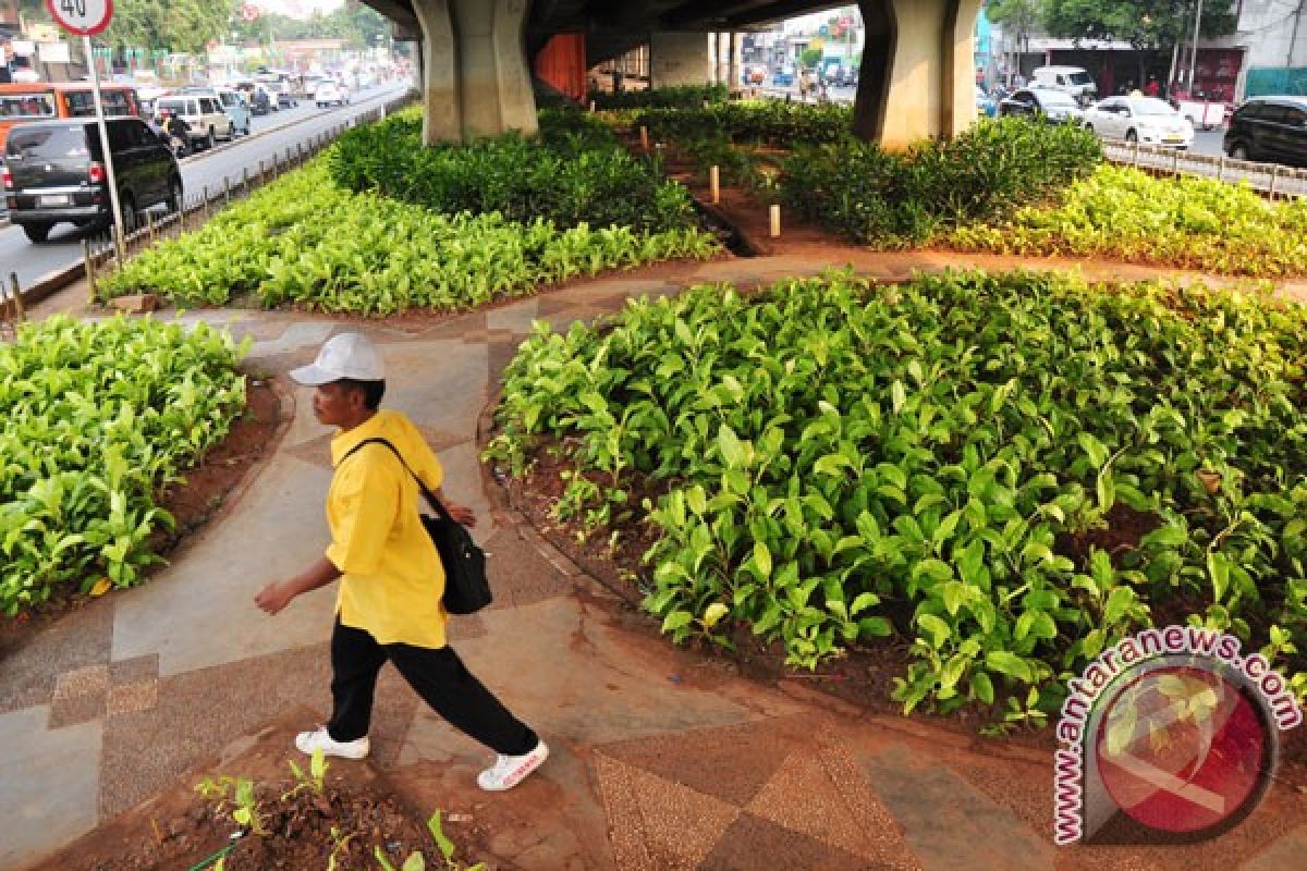 Dinas Pertamanan DKI kesulitan bangun jalur hijau