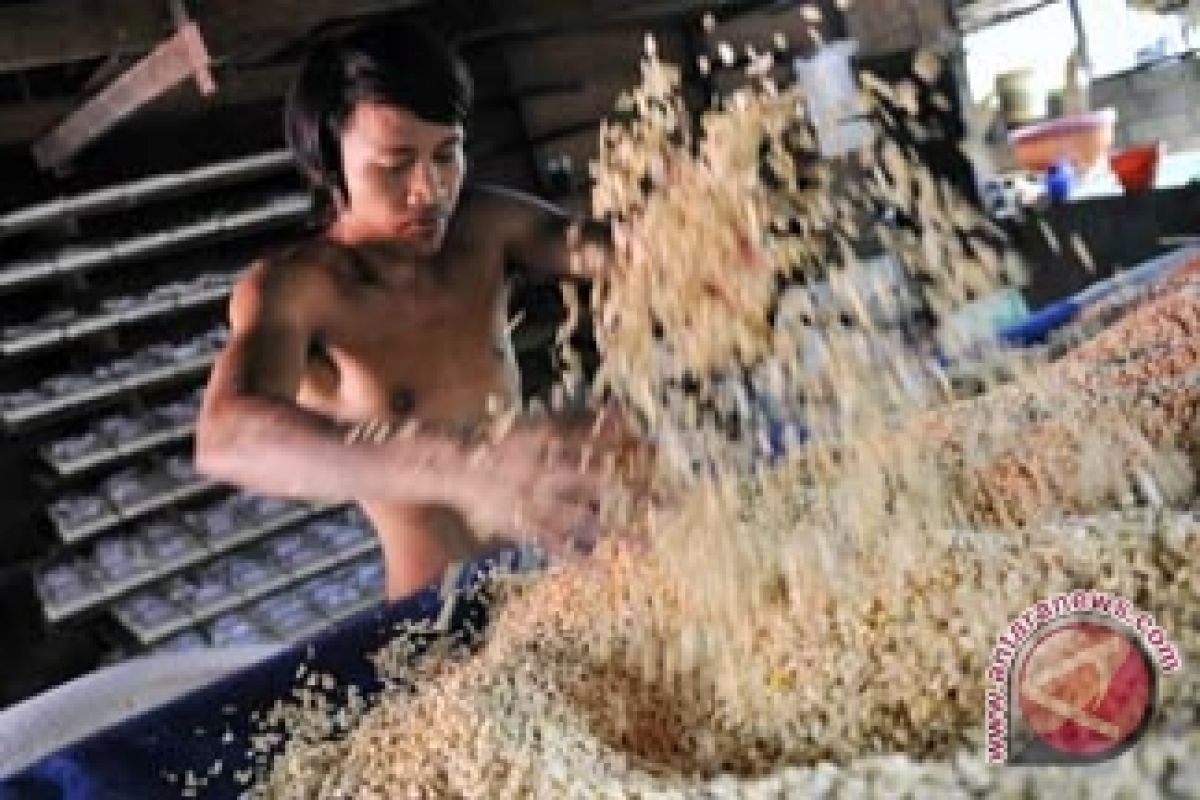 Distan Bali Akan Tingkatkan Produksi Kedelai