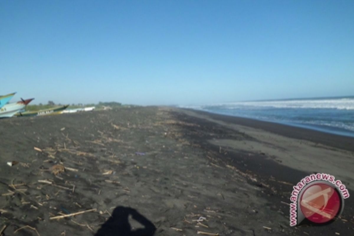 Kulon Progo tidak bisa kembangkan Pantai Trisik