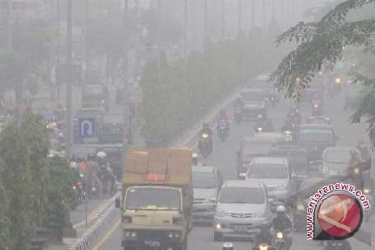 Kecamatan Gambut Kalsel Tertutup Kabut Asap