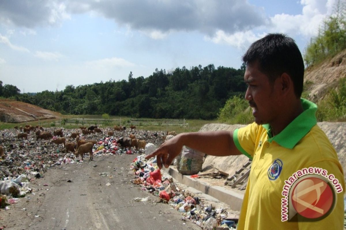 Limbah Sampah Bontang Dimanfaatkan Untuk Pakan Sapi