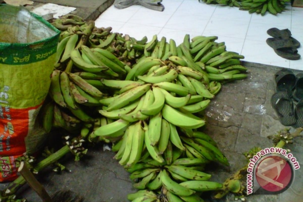 UKM keripik pisang Yogyakarta kesulitan bahan baku 