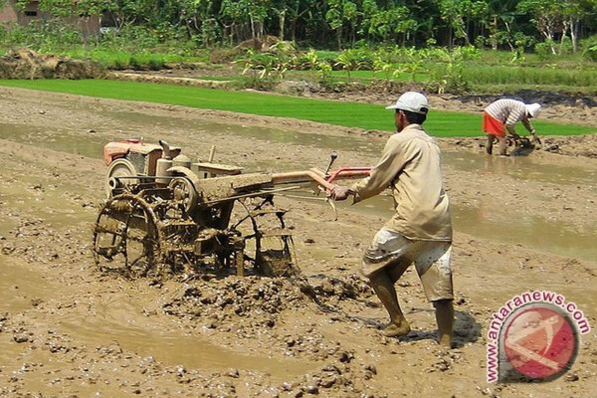 Tim gabungan survei lahan berpotensi sawah baru