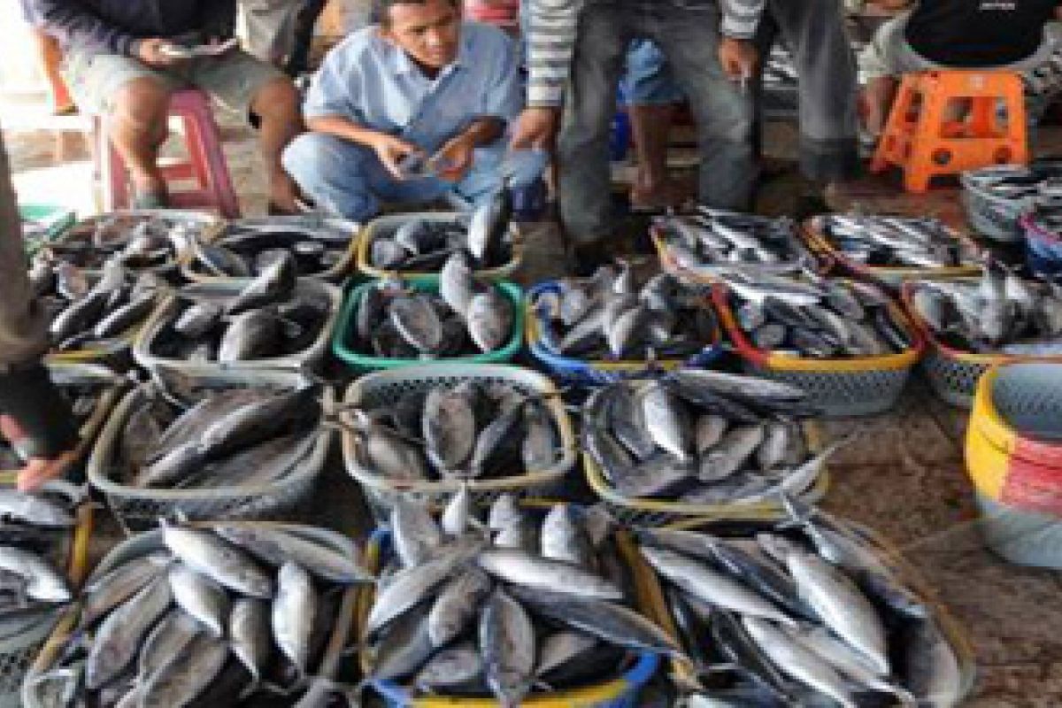 Palu belum maksimalkan pasar ikan higienis