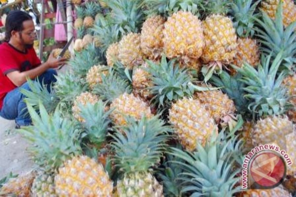 Buah nanas di Palembang mulai langka 
