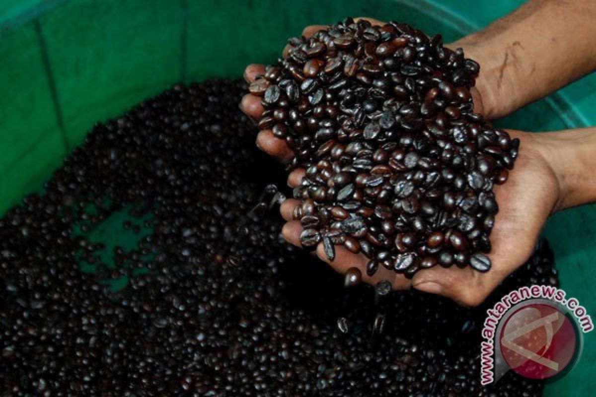 Indonesian coffee introduced in Southeast European market