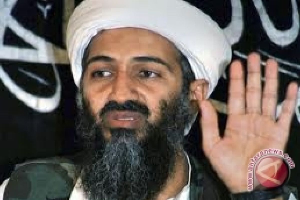 Film Osama bin Laden Ngetop