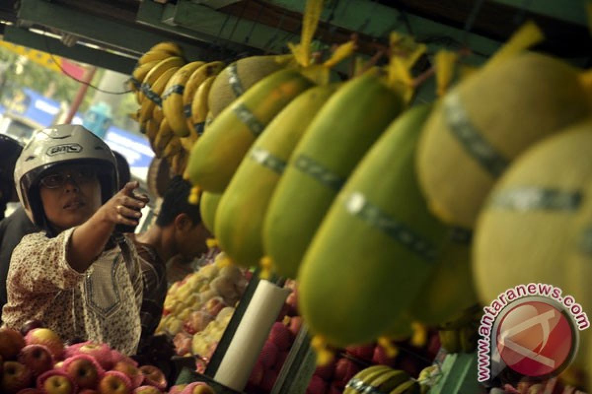 Indonesian govt vows to boost local fruit production